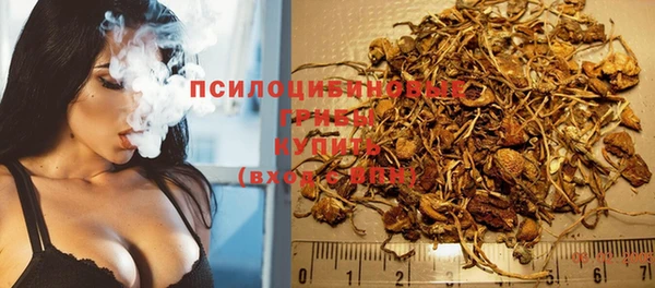 PSILOCYBIN Бронницы